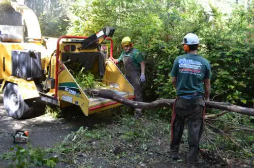 tree services Beebe